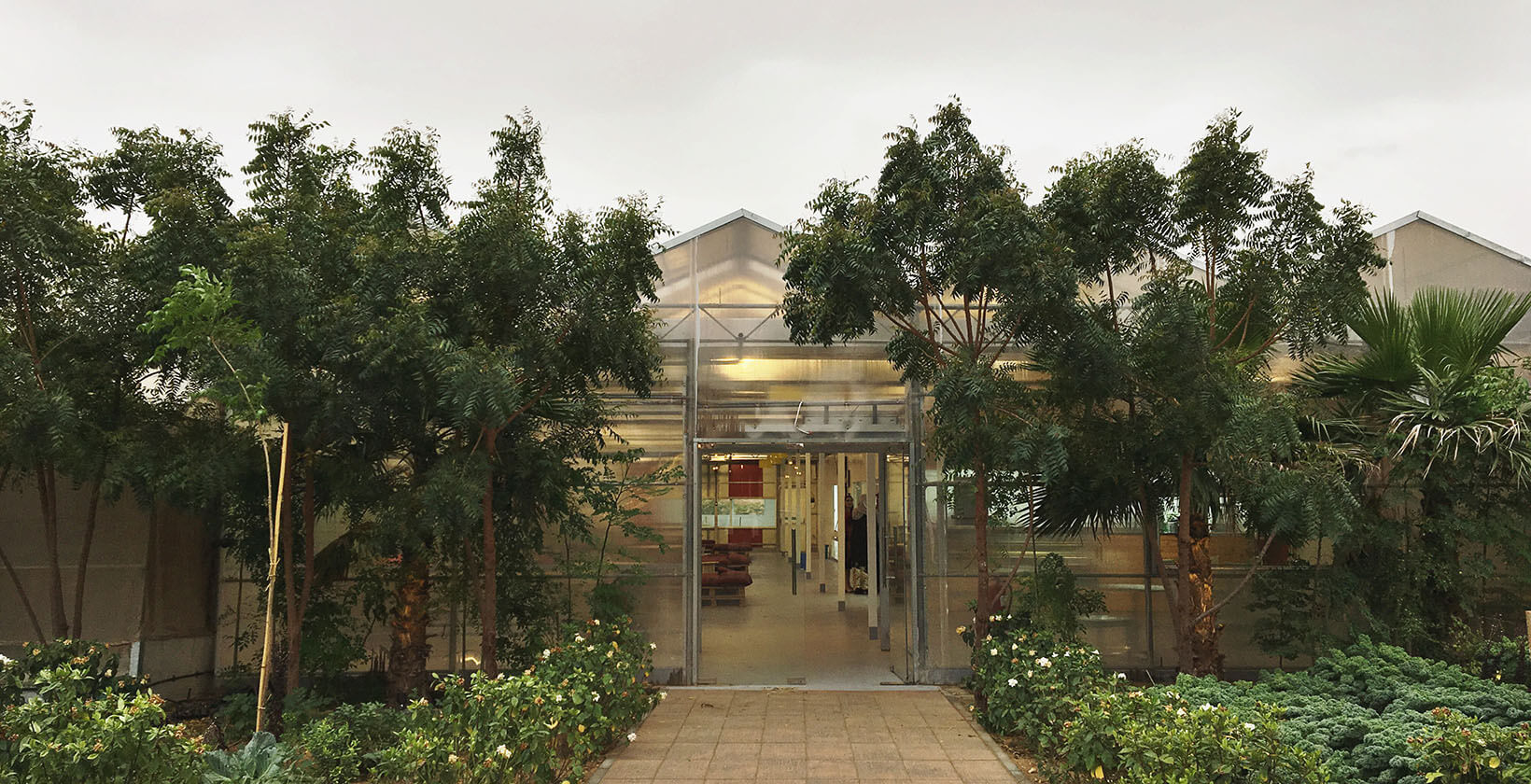 Iftar at the Emirates Bio Farm, Abu Dhabi