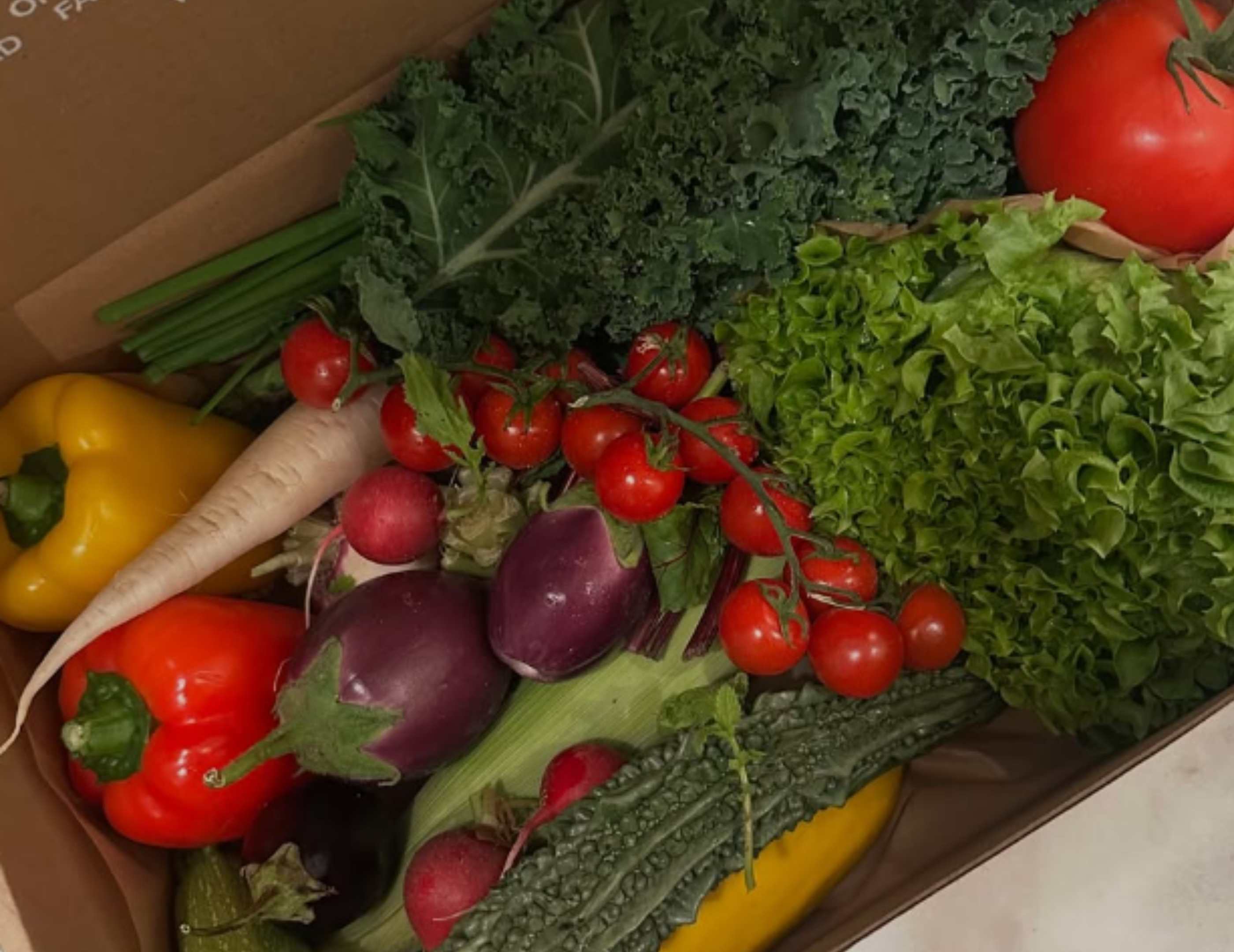 Of the Earth: Fresh produce and farm items