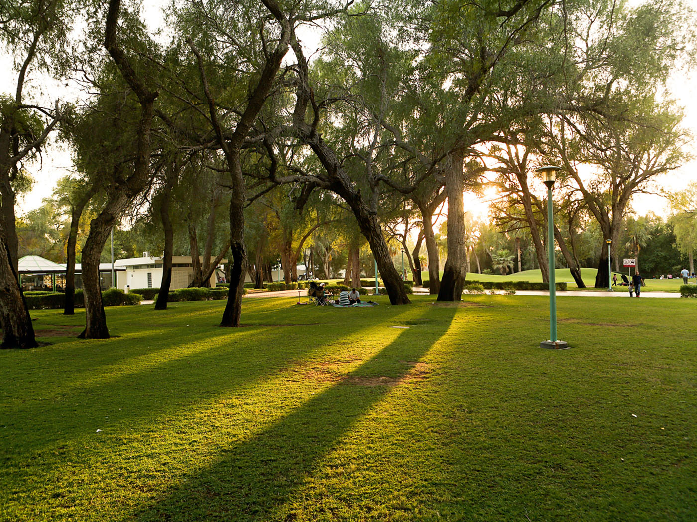 Nad Al Sheba Park
