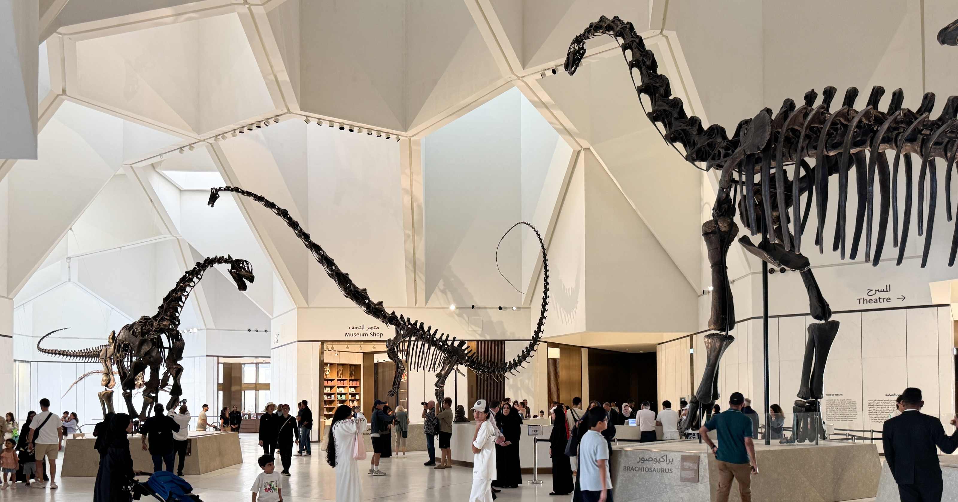 Natural History Museum Abu Dhabi: World-class museum in Saadiyat Cultural District