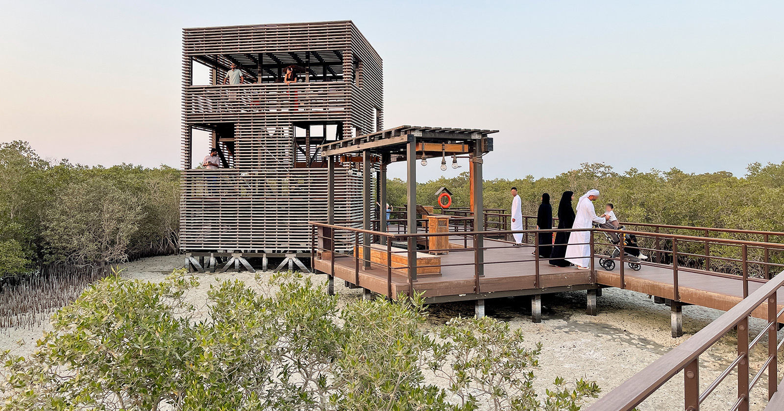 Jubail Mangroves Park: A walk through the mangroves in Abu Dhabi
