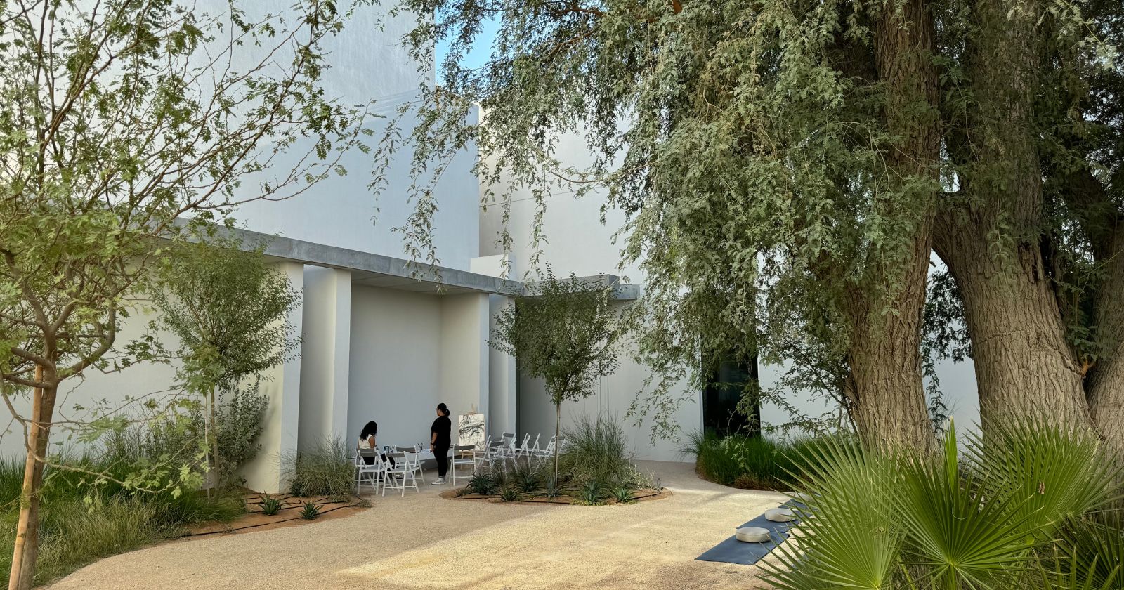 Paus Club Dubai: A homegrown wellness sanctuary in Umm Suqeim